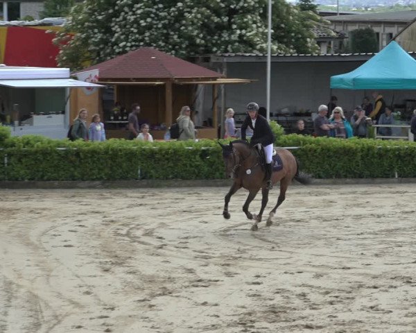 Reitturnier Bornheim-Widdig 2022