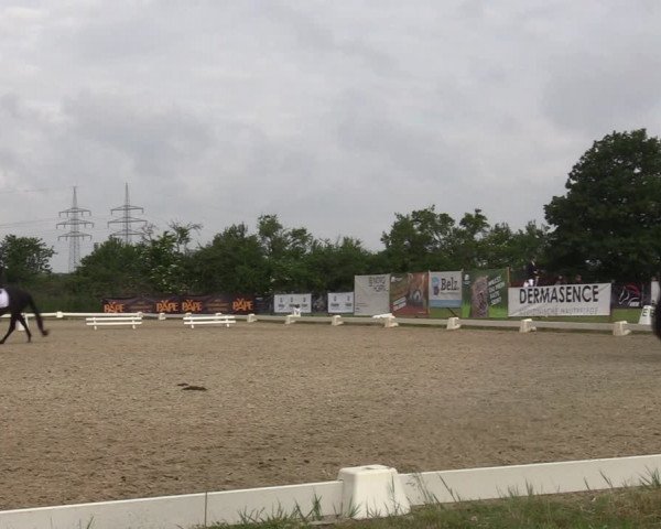 Reitturnier Münster, St. Georg | Amateurtag 2022