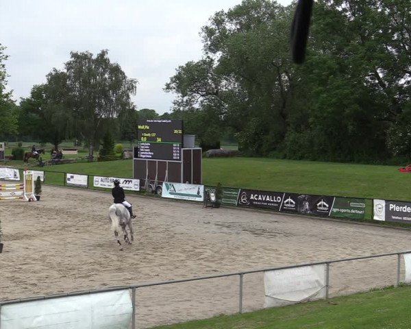 Reitturnier Hamm-Rhynern 2022