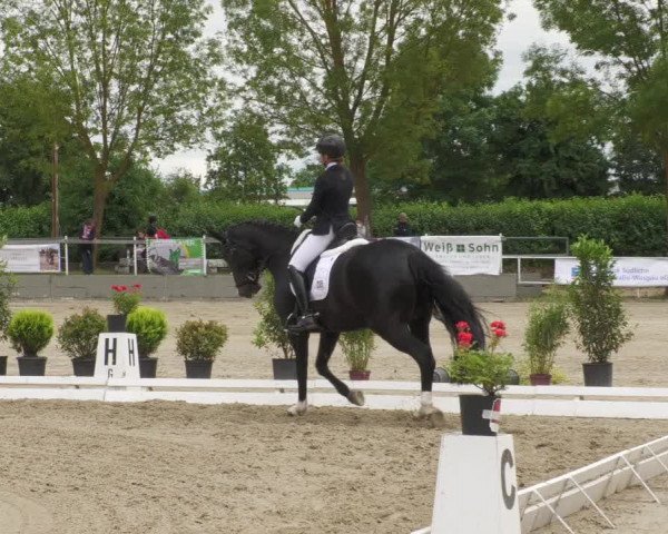 Reitturnier Billigheim 2022