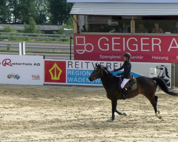 Reitturnier Wädenswil 2022
