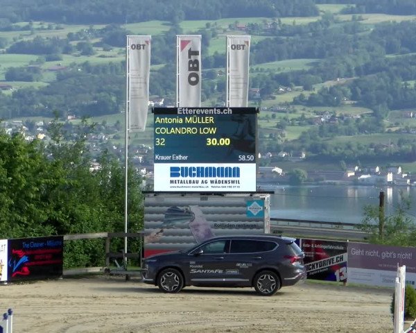 Reitturnier Wädenswil 2022