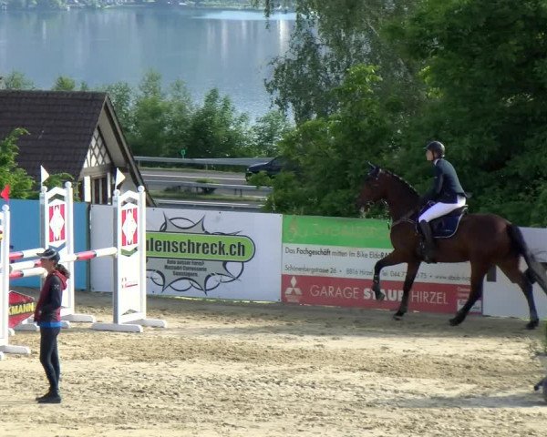 Reitturnier Wädenswil 2022