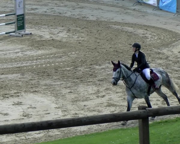 Reitturnier Wädenswil 2022