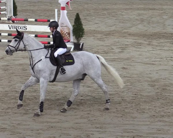 Reitturnier Hamm-Rhynern 2022