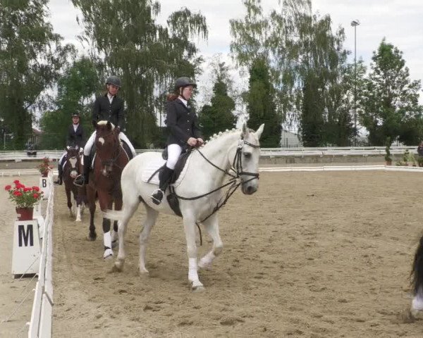 Reitturnier Billigheim 2022