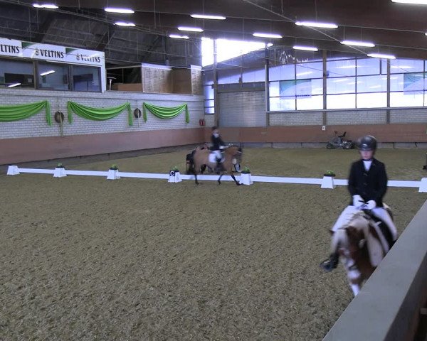 Reitturnier Hellefeld 2022
