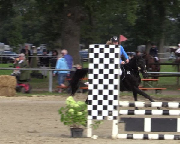 Reitturnier Haltern am See 2021