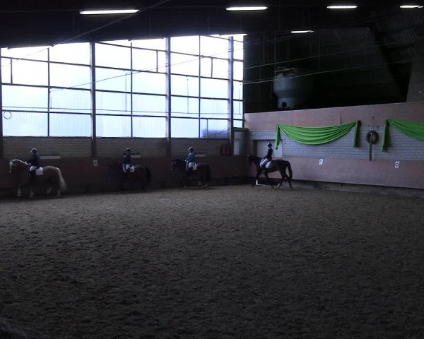 Reitturnier Hellefeld 2022