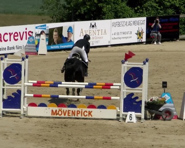 Reitturnier Wädenswil 2022
