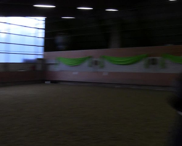 Reitturnier Hellefeld 2022