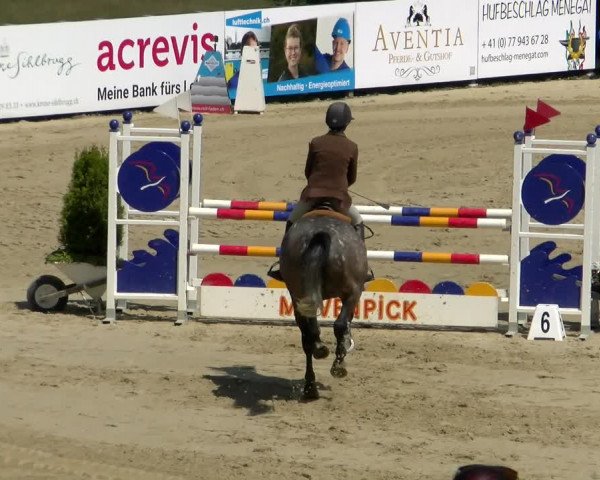 Reitturnier Wädenswil 2022