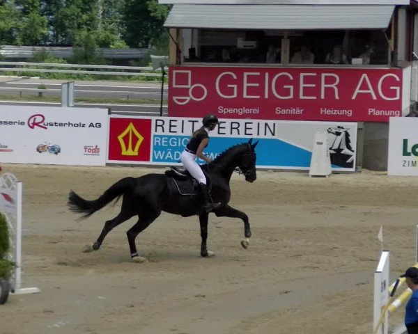 Reitturnier Wädenswil 2022