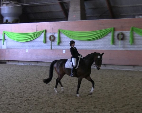 Reitturnier Hellefeld 2022