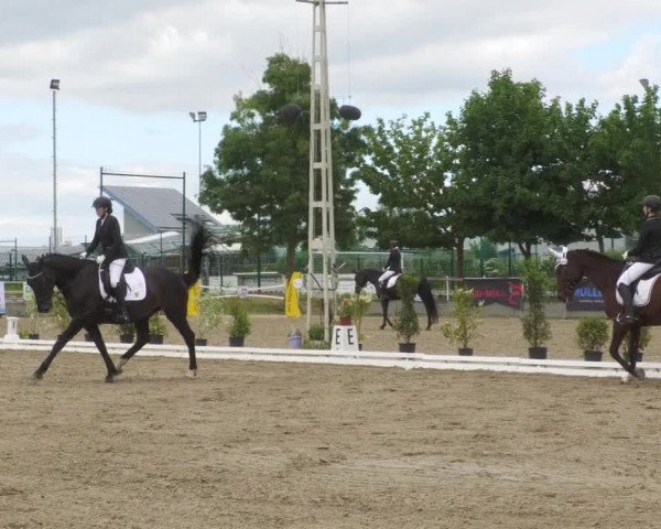 Reitturnier Billigheim 2022