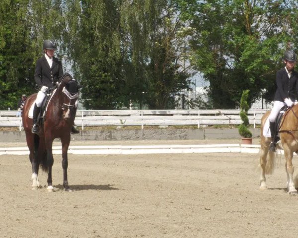 Reitturnier Billigheim 2022