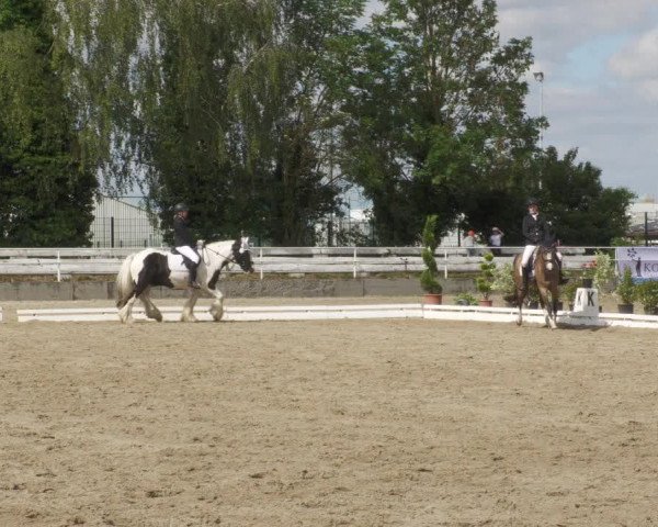 Reitturnier Billigheim 2022