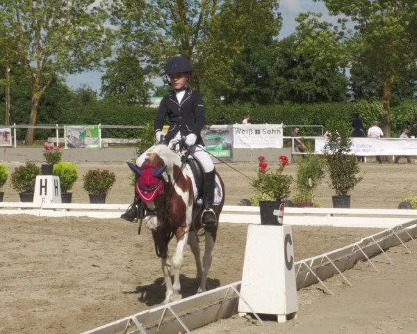 Reitturnier Billigheim 2022