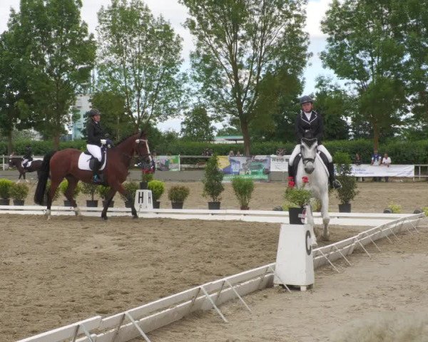 Reitturnier Billigheim 2022