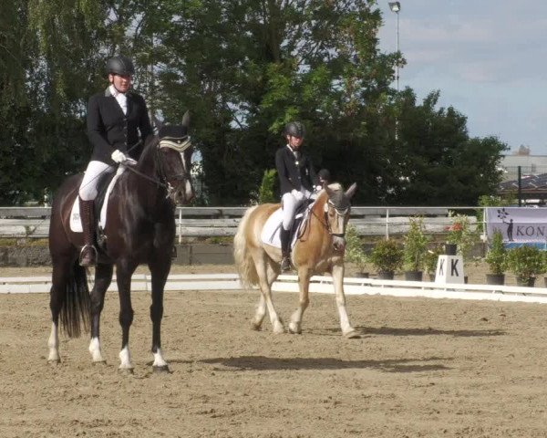Reitturnier Billigheim 2022