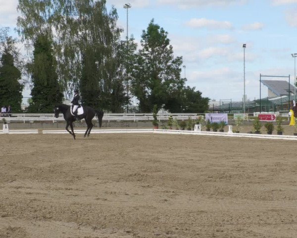 Reitturnier Billigheim 2022