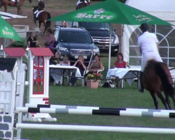 jumper Lissy (Saxony-Anhaltiner, 2002, from Lesotho)
