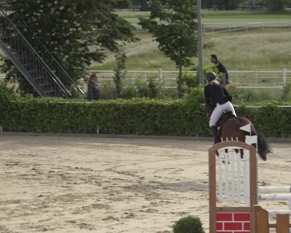 Reitturnier Bornheim-Widdig 2022