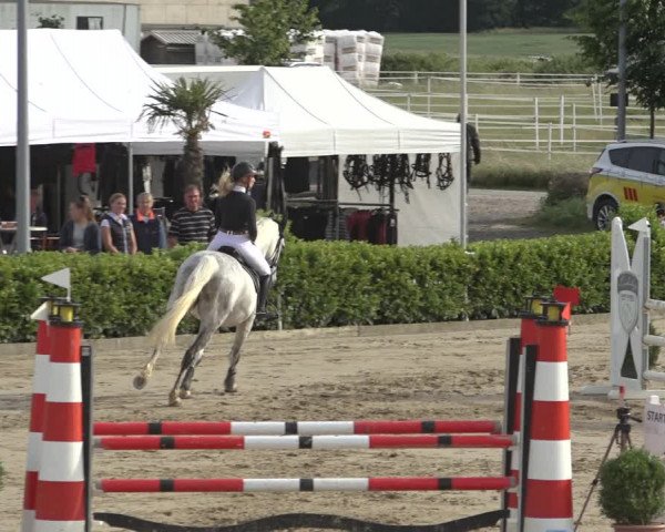 Reitturnier Bornheim-Widdig 2022