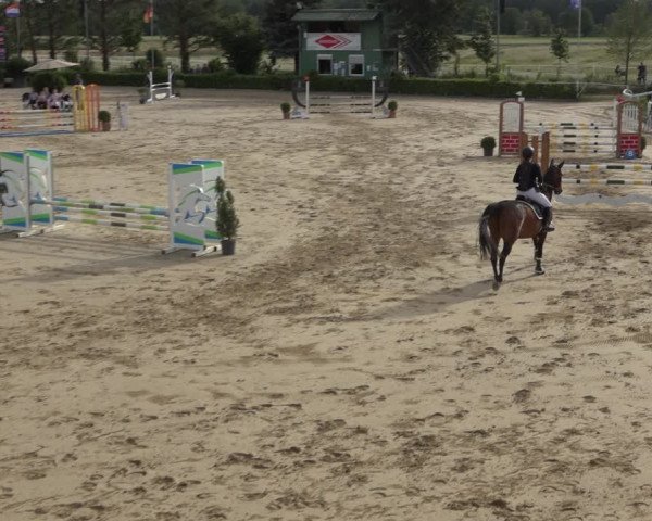 Reitturnier Bornheim-Widdig 2022