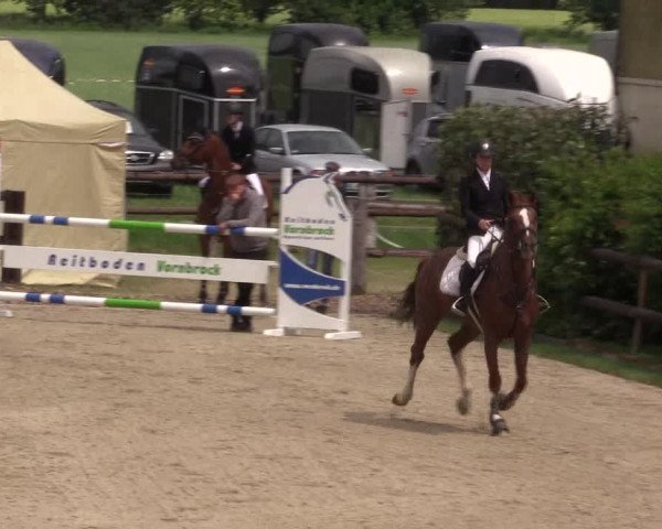 Reitturnier Kirchhellen/Stall Dieckmann 2022