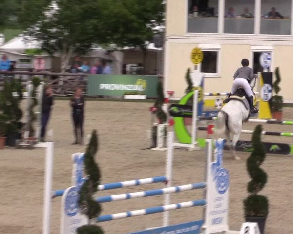 Reitturnier Kirchhellen/Stall Dieckmann 2022