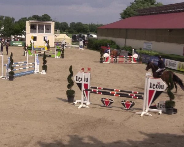 Reitturnier Kirchhellen/Stall Dieckmann 2022
