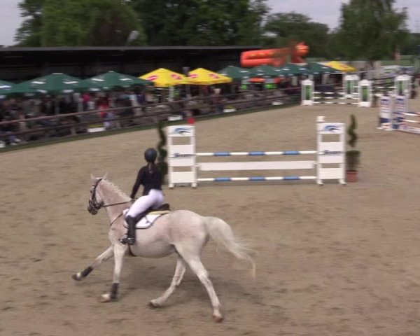 Reitturnier Kirchhellen/Stall Dieckmann 2022