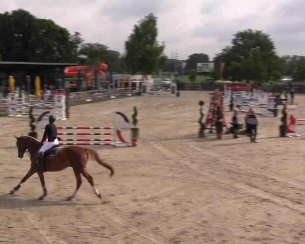 Reitturnier Kirchhellen/Stall Dieckmann 2022