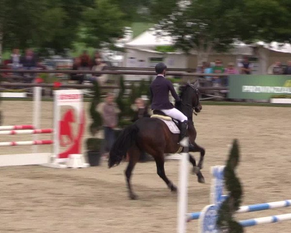Reitturnier Kirchhellen/Stall Dieckmann 2022