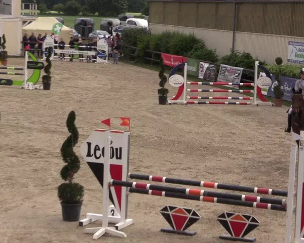 Reitturnier Kirchhellen/Stall Dieckmann 2022