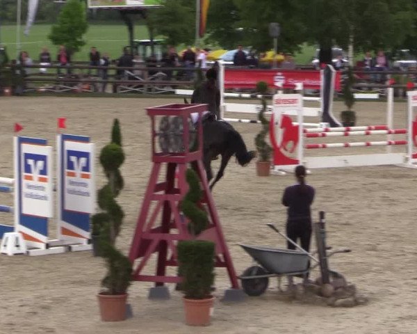 Reitturnier Kirchhellen/Stall Dieckmann 2022