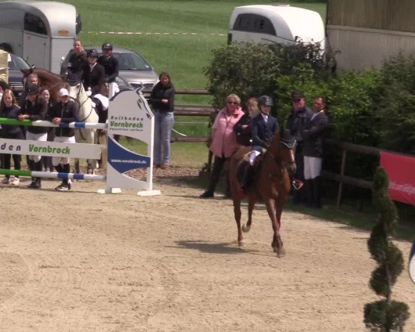 Reitturnier Kirchhellen/Stall Dieckmann 2022
