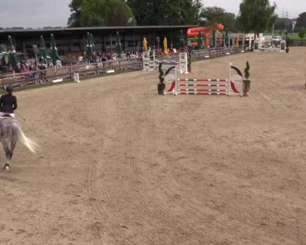 Reitturnier Kirchhellen/Stall Dieckmann 2022