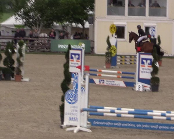 Reitturnier Kirchhellen/Stall Dieckmann 2022