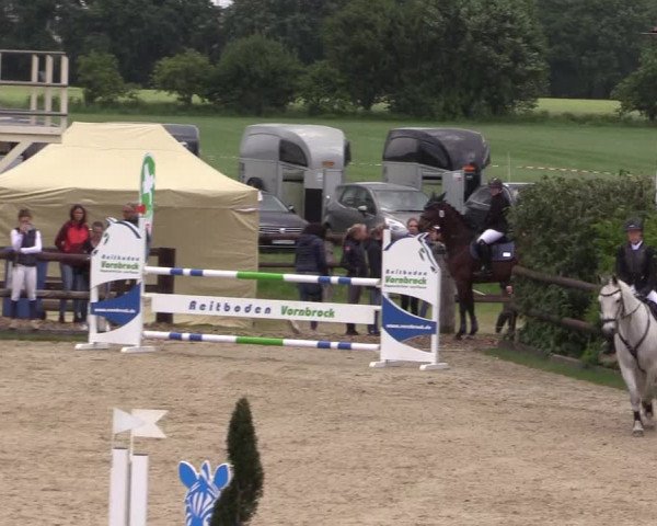 Reitturnier Kirchhellen/Stall Dieckmann 2022