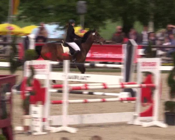 Reitturnier Kirchhellen/Stall Dieckmann 2022