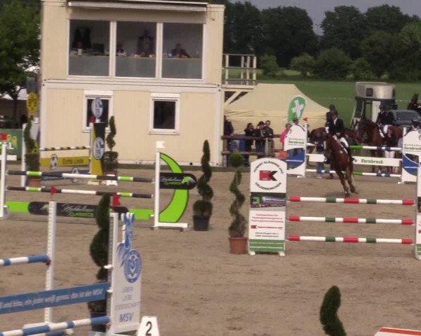 Reitturnier Kirchhellen/Stall Dieckmann 2022