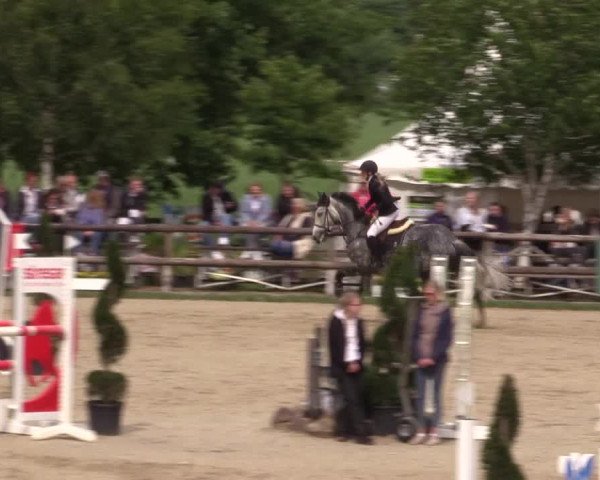Reitturnier Kirchhellen/Stall Dieckmann 2022