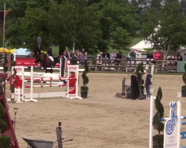 Reitturnier Kirchhellen/Stall Dieckmann 2022