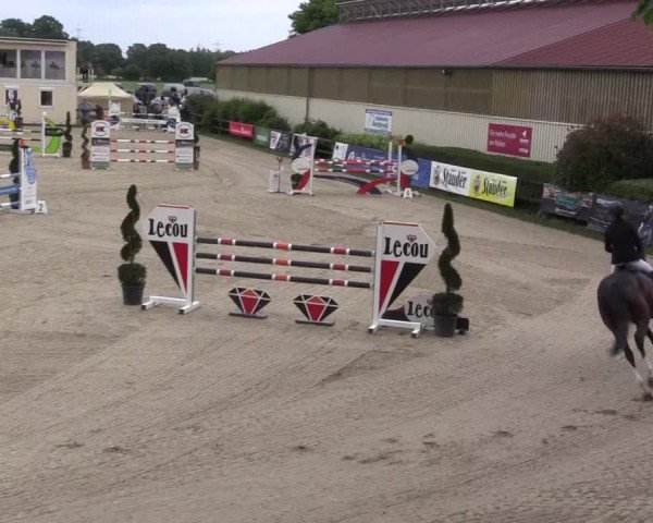 Reitturnier Kirchhellen/Stall Dieckmann 2022