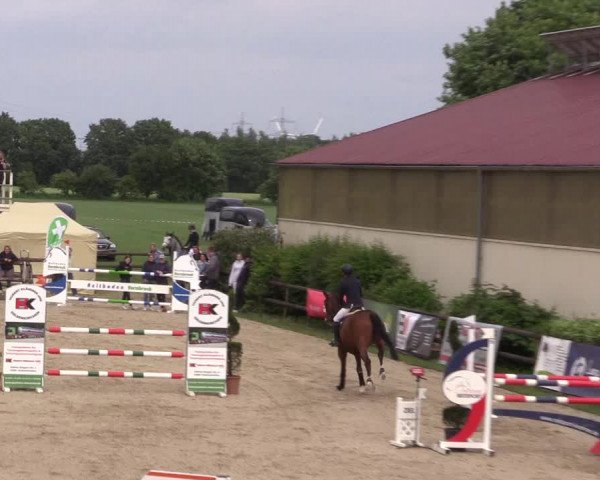 Reitturnier Kirchhellen/Stall Dieckmann 2022