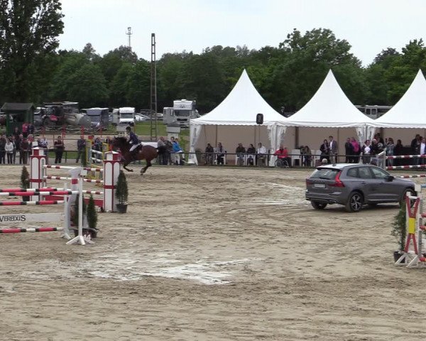 Reitturnier Hamm-Rhynern 2022
