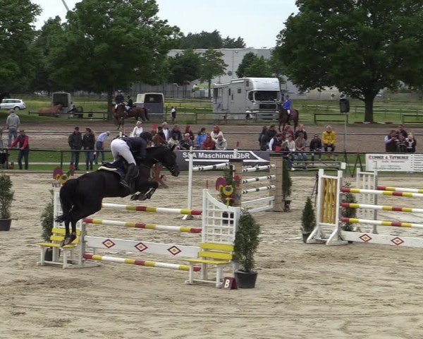 Reitturnier Hamm-Rhynern 2022
