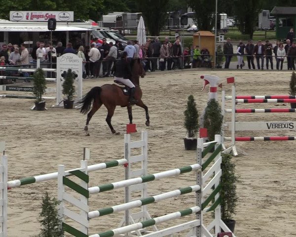 Reitturnier Hamm-Rhynern 2022
